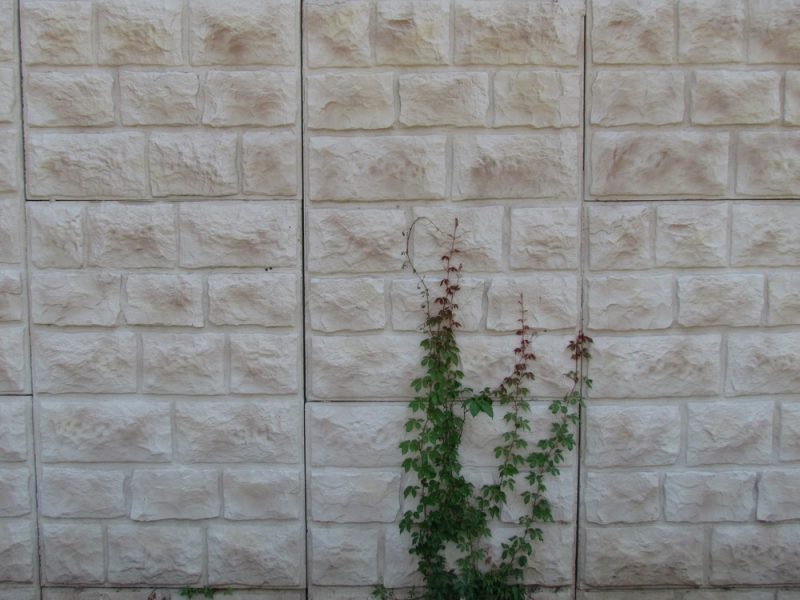 BARAK-wall-road-70-01