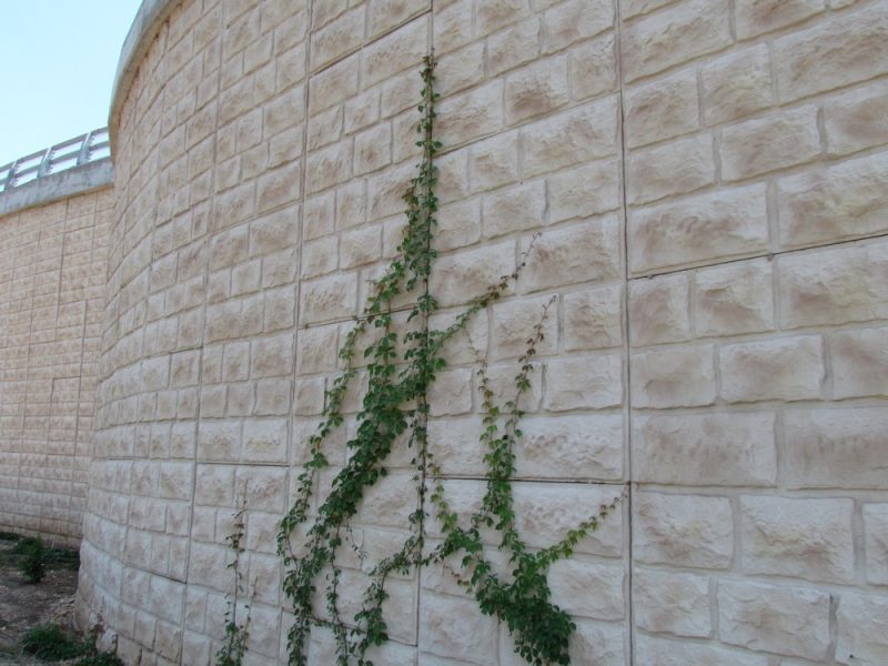BARAK-wall-road-70-02