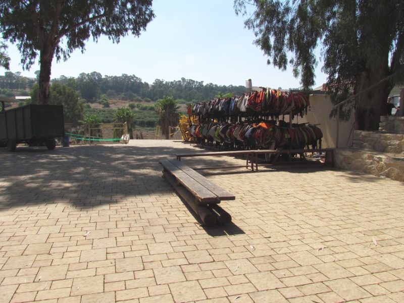 CARMELSTONE-PAVING-STONE01