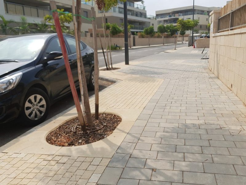 CARMELSYONE-NETA-ATLIT03