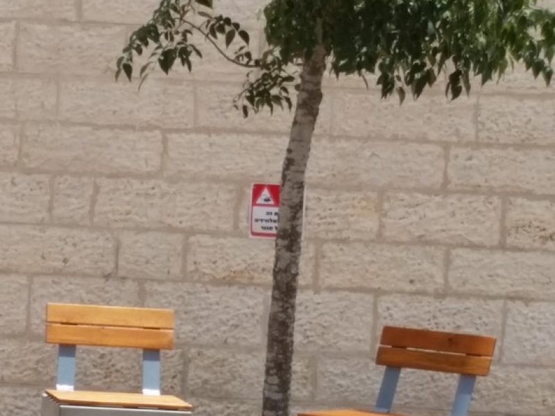 SARONA-Bench-In-JERUSALEM-12