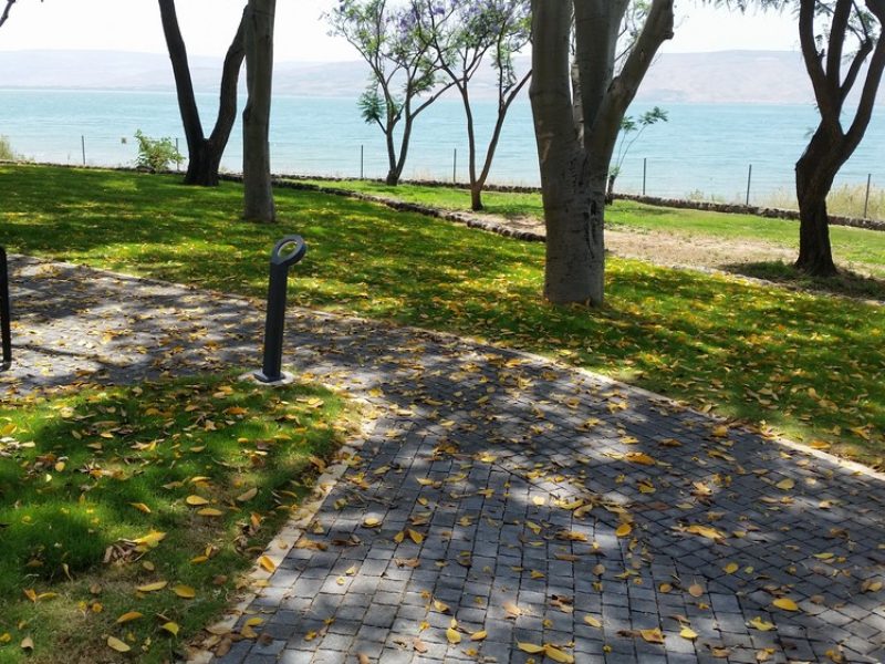 carmelston-110-engev-02