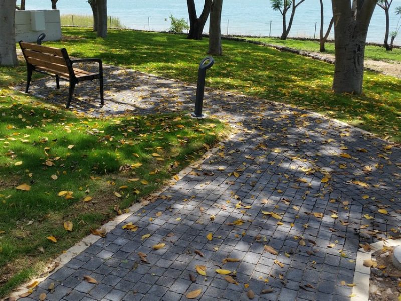 carmelston-110-engev-03