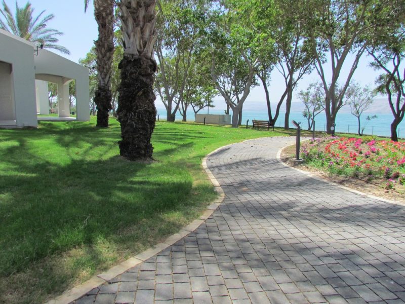 carmelston-110-engev-05