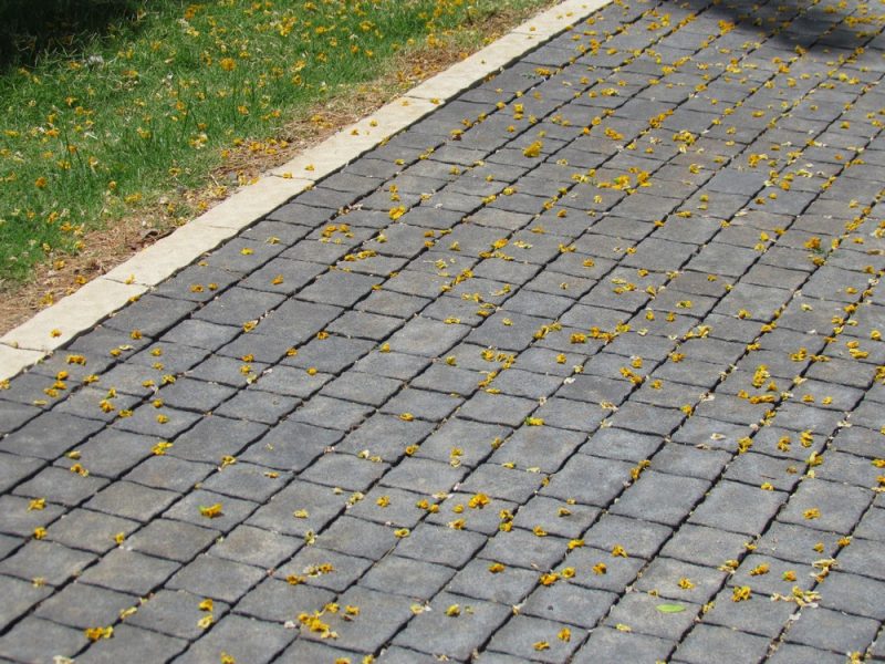 carmelston-110-engev-08