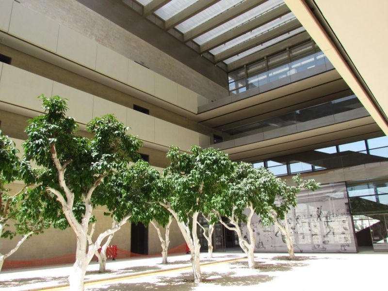 jerusalem-university-concrete-patio-grip-04