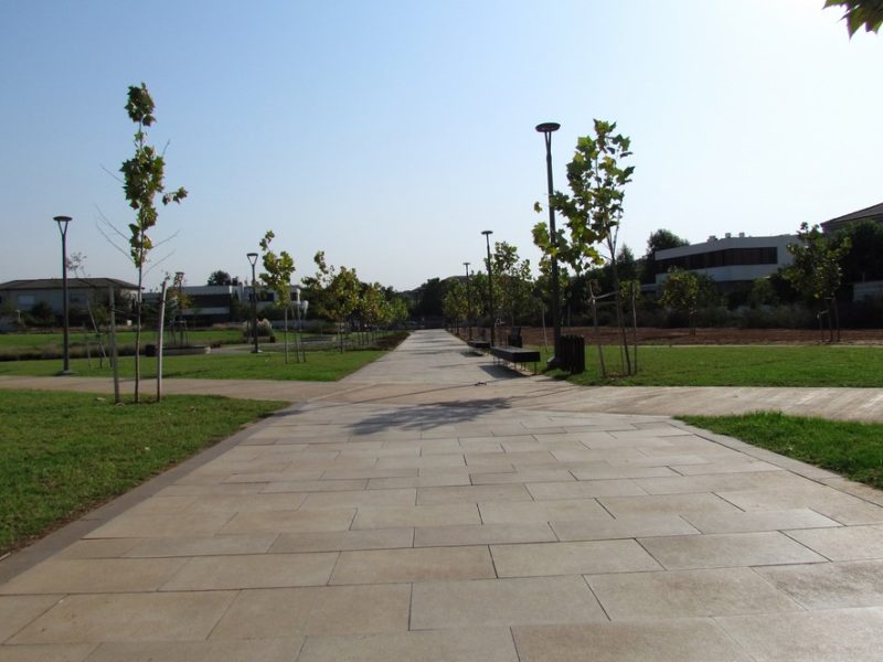 timna-paving-stone-Savion01