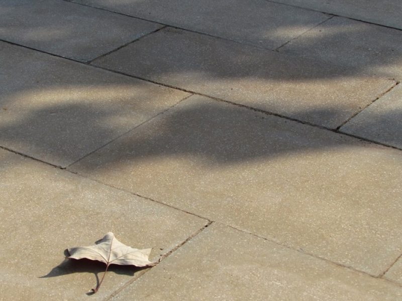 timna-paving-stone-Savion03