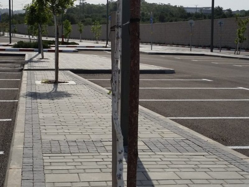 train-station-Bar-Lev-best-proj-of-2017-15