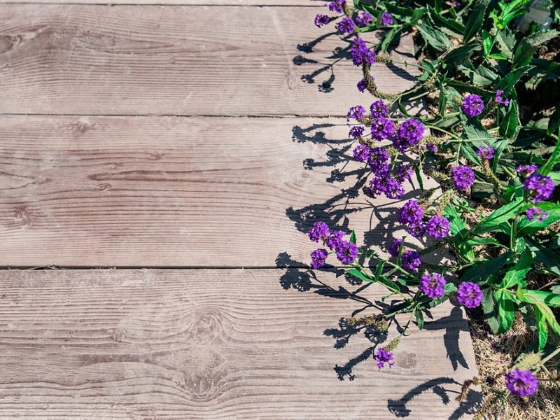 wooddeck-karmel-nesher-01