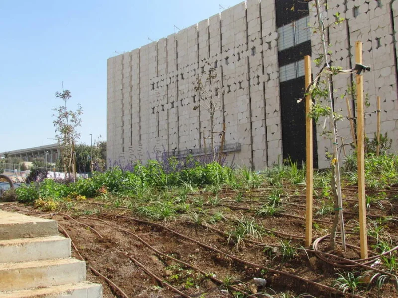 הספריה הלאומית ירושלים IMG_2727